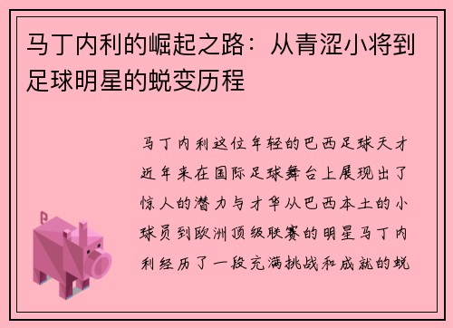 马丁内利的崛起之路：从青涩小将到足球明星的蜕变历程